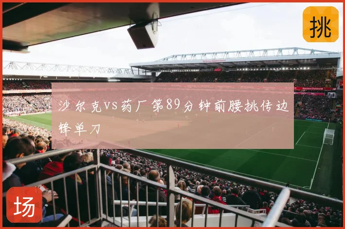沙尔克vs药厂第89分钟前腰挑传边锋单刀